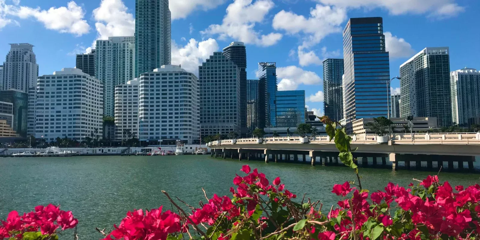 Vista diurna del horizonte de Miami con vegetación y la bahía en primer plano